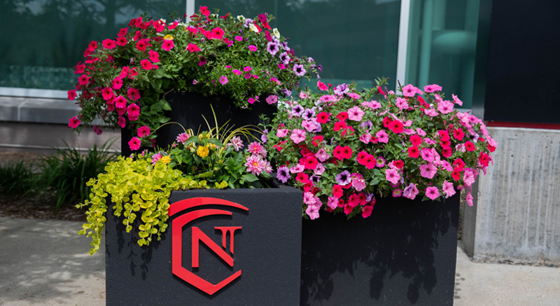 Beautiful flowers in a pot with a Normandale logo.