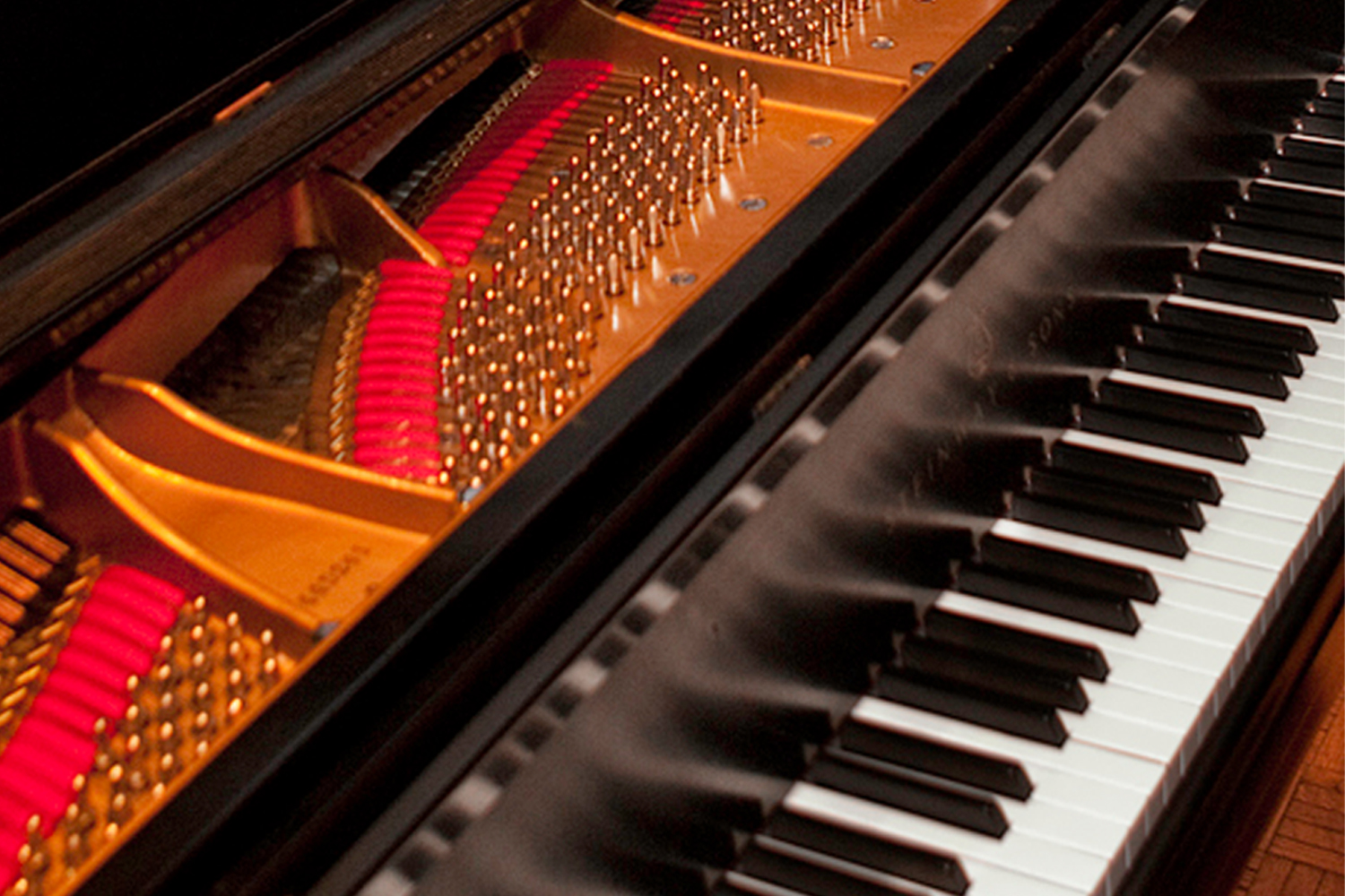 Jazz Combo musical instrument 