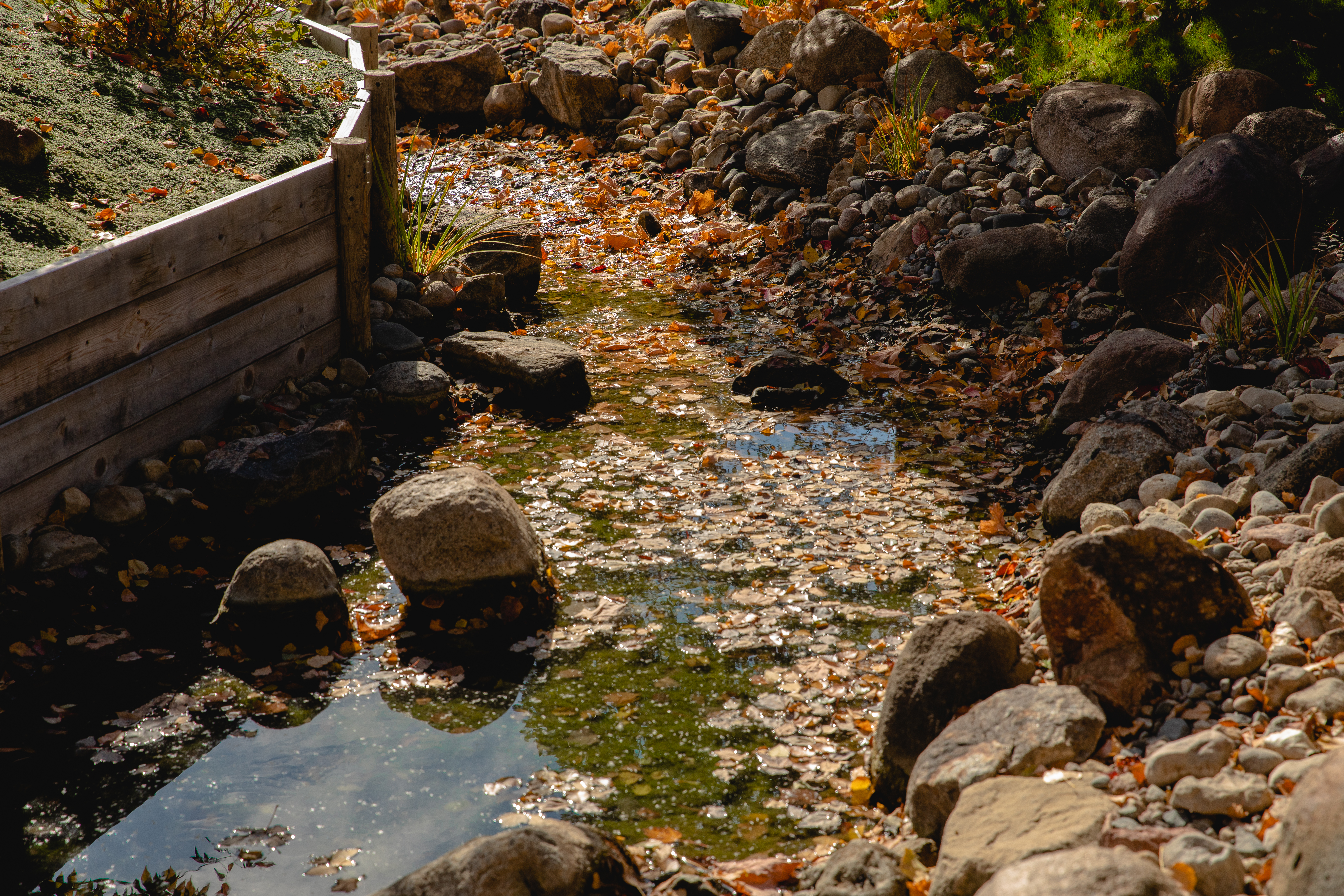Normandale Japanese Garden Stream