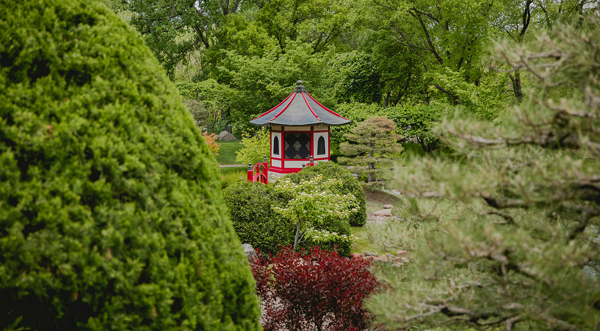 Normandale Japanese garden
