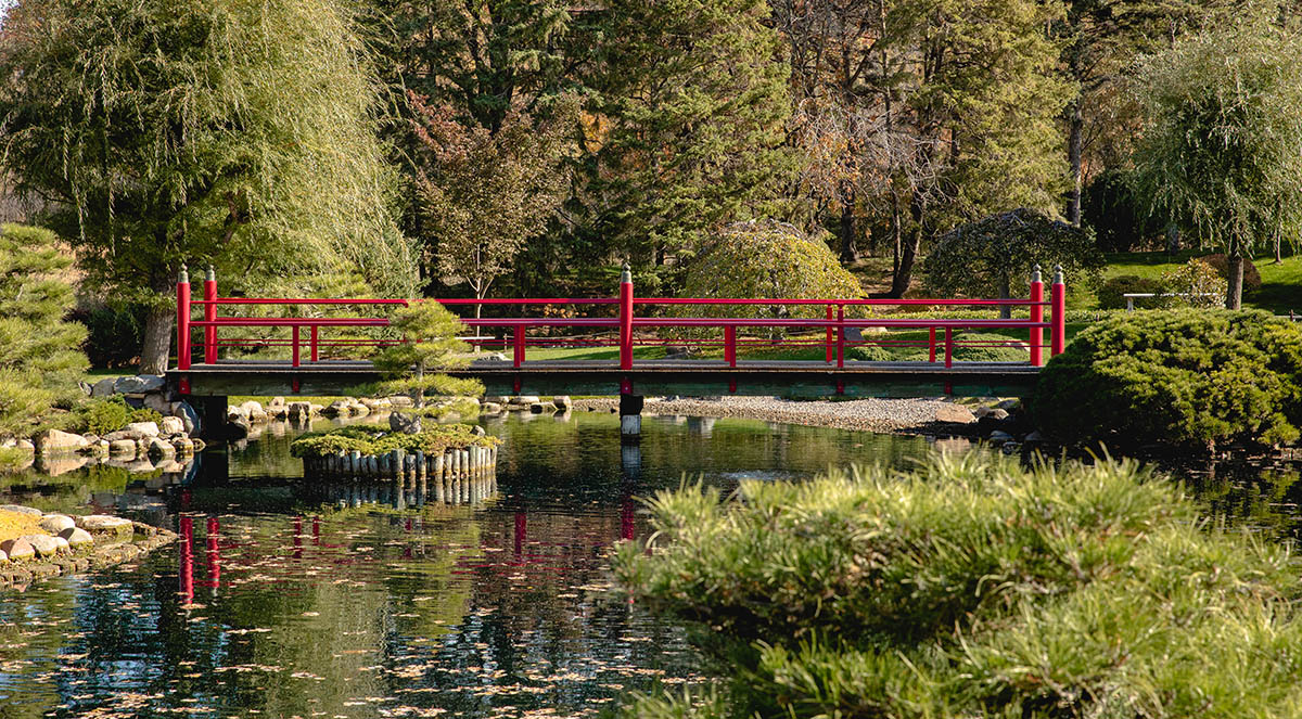 Normandale Japanese garden